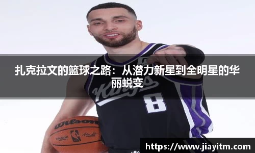 jinnianhui金年会