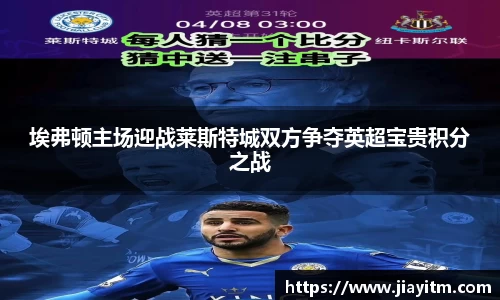 埃弗顿主场迎战莱斯特城双方争夺英超宝贵积分之战